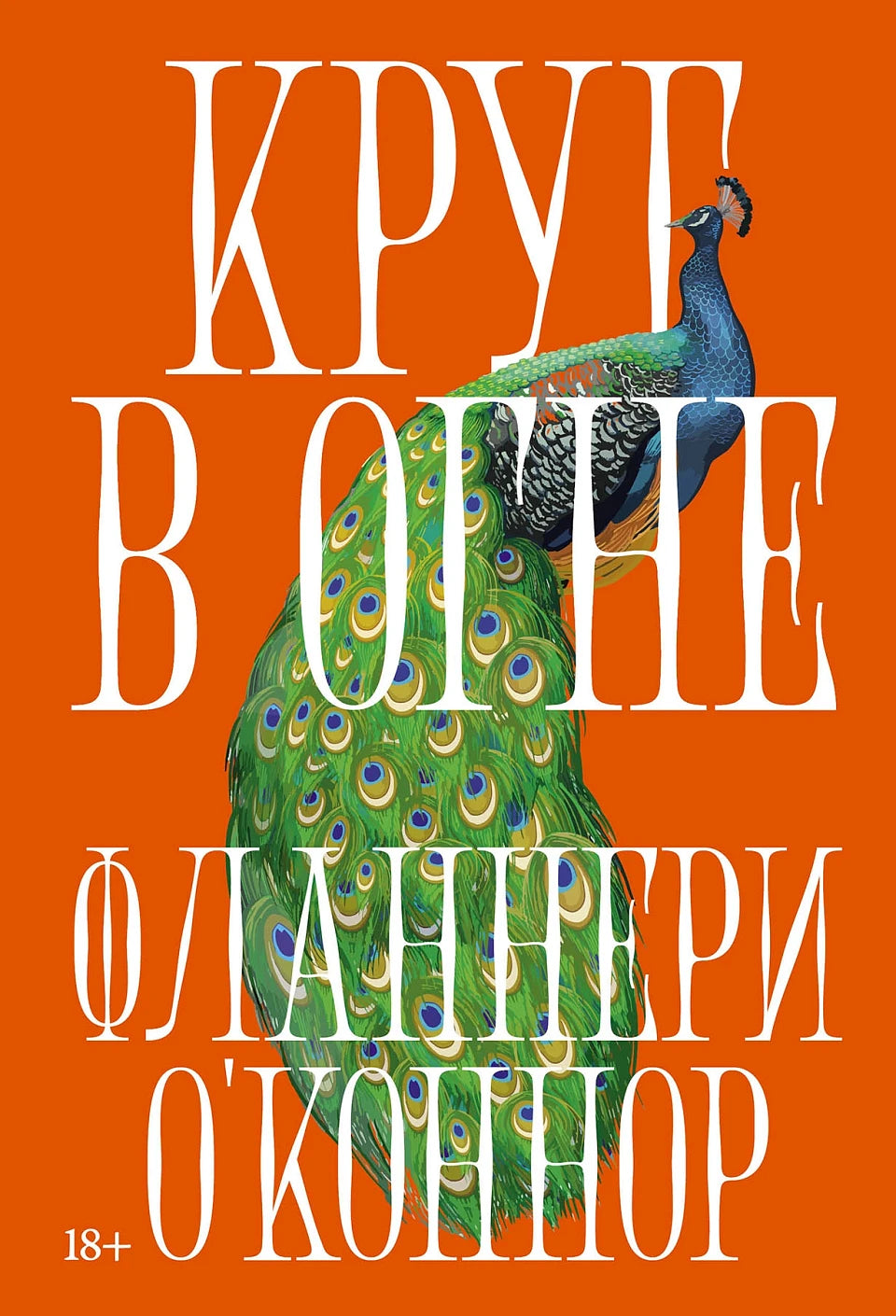 Круг в огне